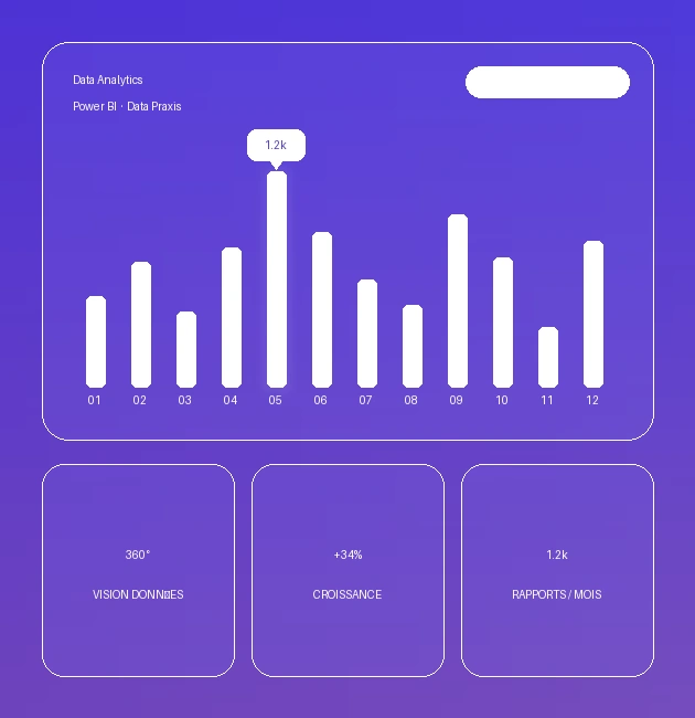 Power BI avec Data Praxis